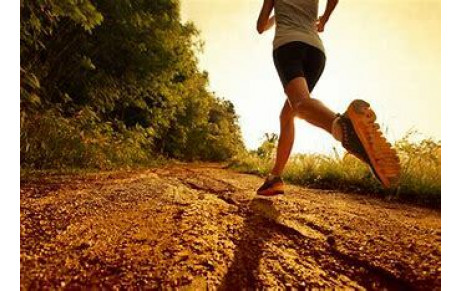 Plan d'entrainement - Saison 2023/2024